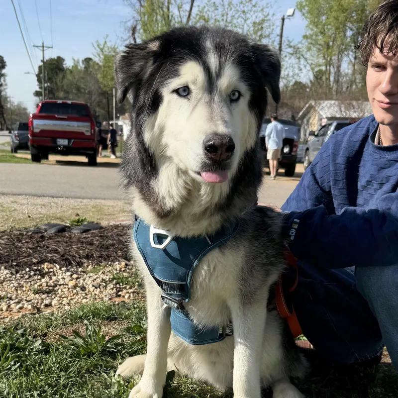 Miska & Eko thumbnail 6