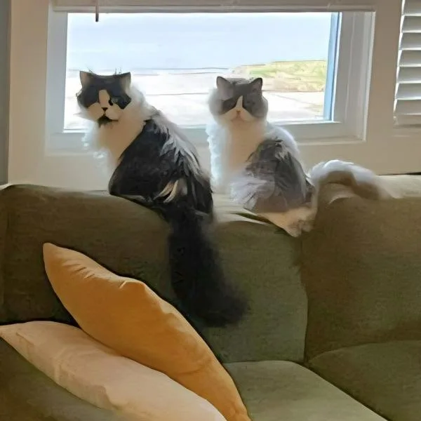 Fozzie  Bonded Buddy thumbnail 6