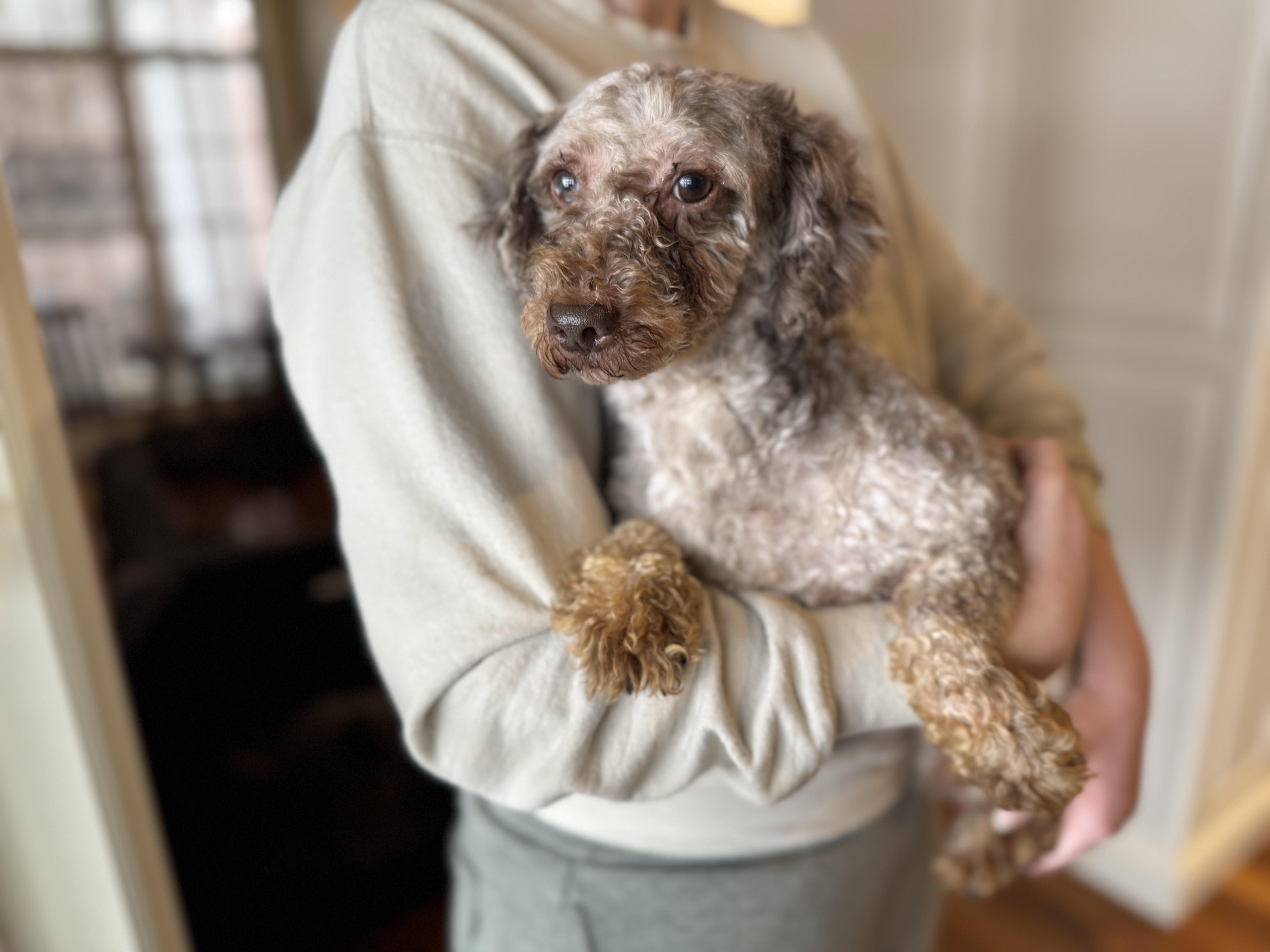 George  Transport thumbnail 3