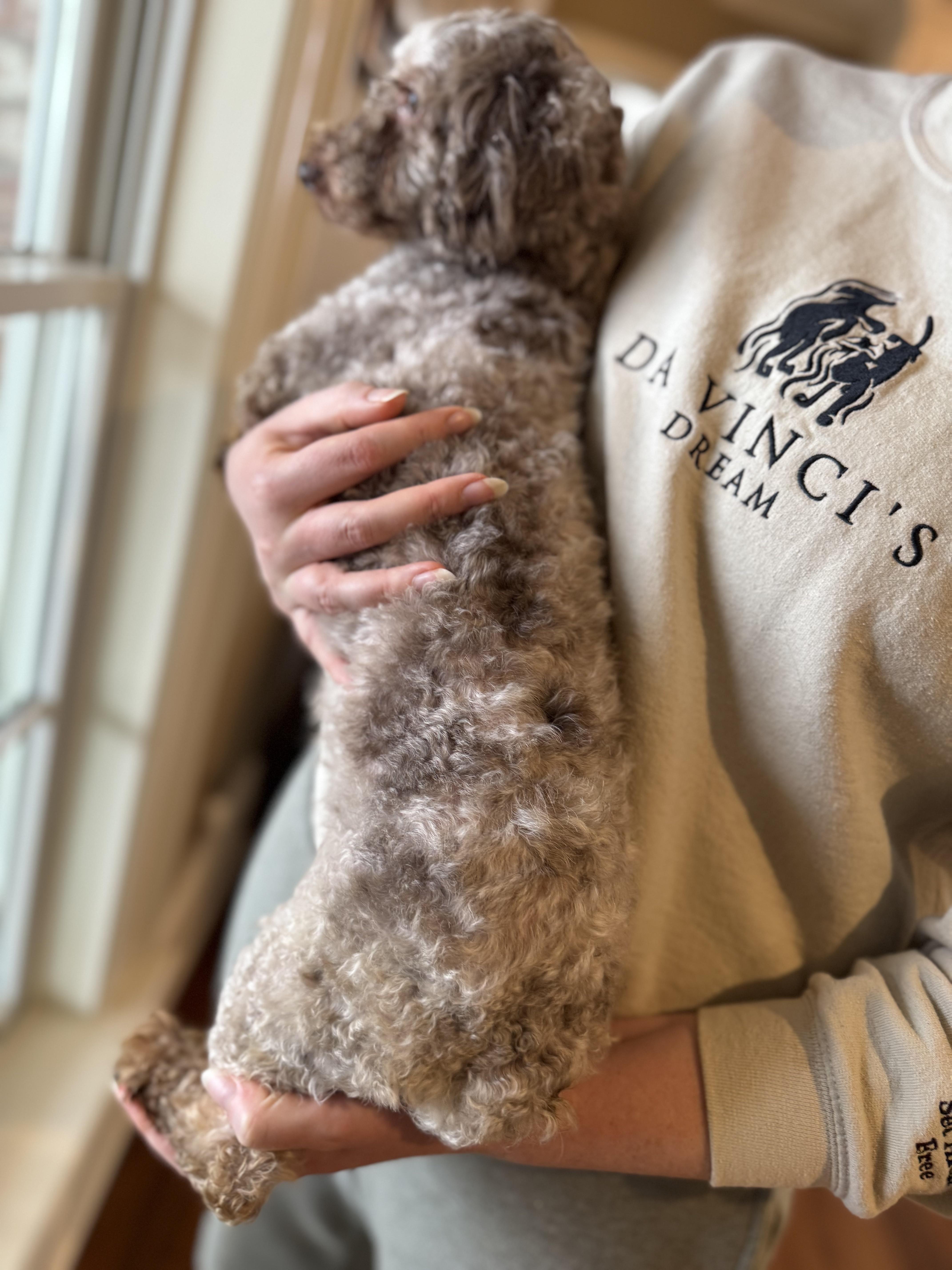 George  Transport thumbnail 4