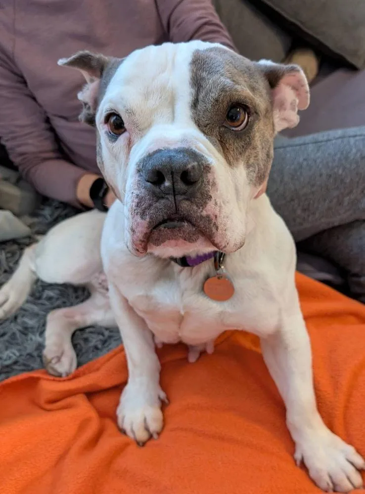 Vera Wang thumbnail 2