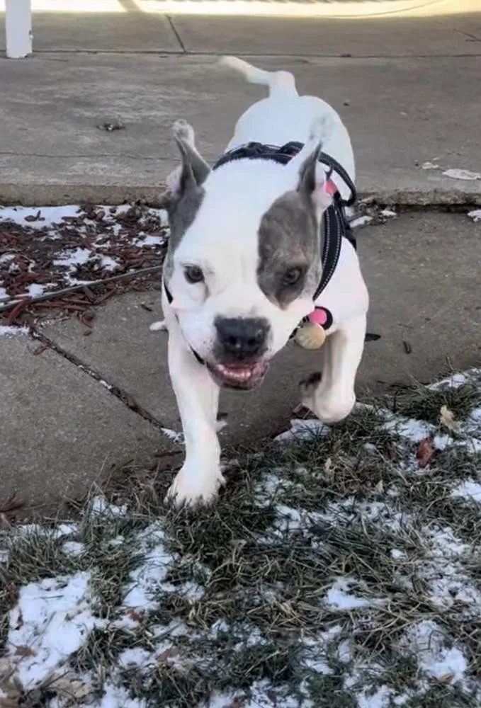 Vera Wang thumbnail 4