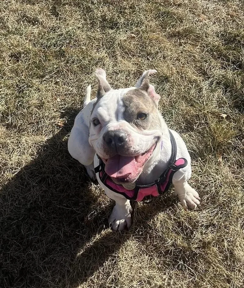 Vera Wang thumbnail 5