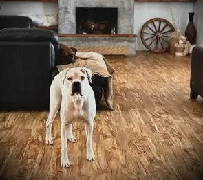 Nova Ii  Silver thumbnail 2