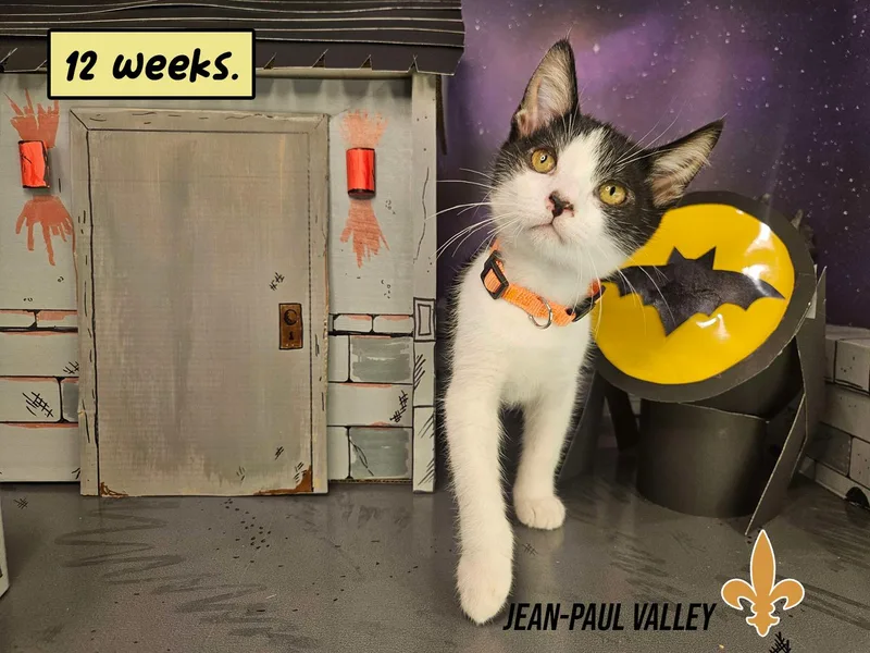 Jean Paul Valley thumbnail 6