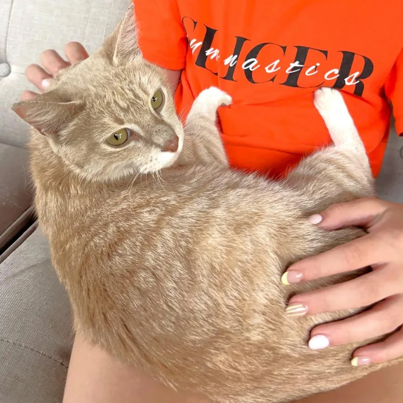 Momma thumbnail 3
