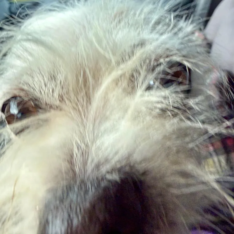 Bebe thumbnail 2
