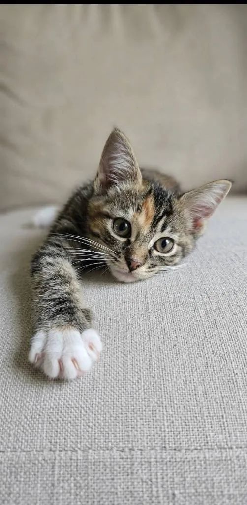 Sasha thumbnail 3
