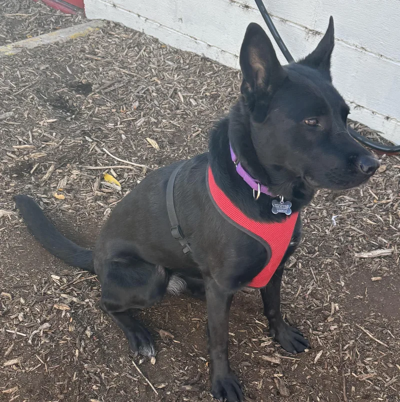 Wednesday thumbnail 2