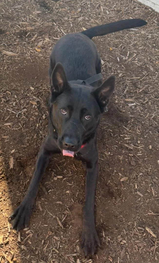 Wednesday thumbnail 3