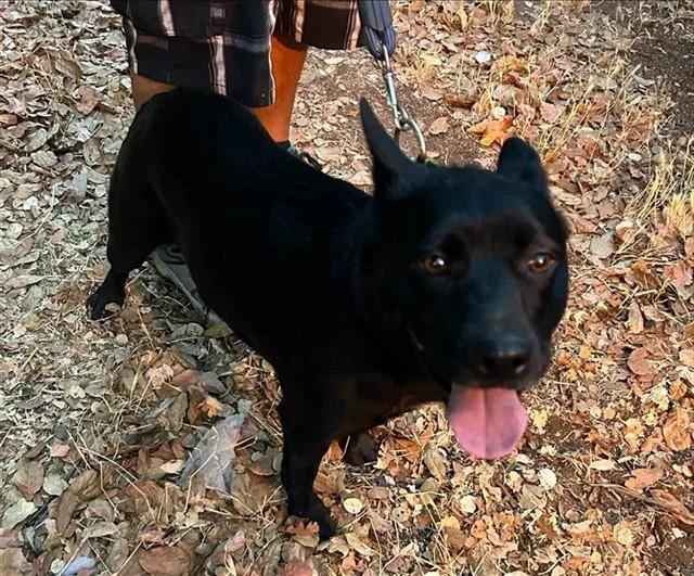 Betty