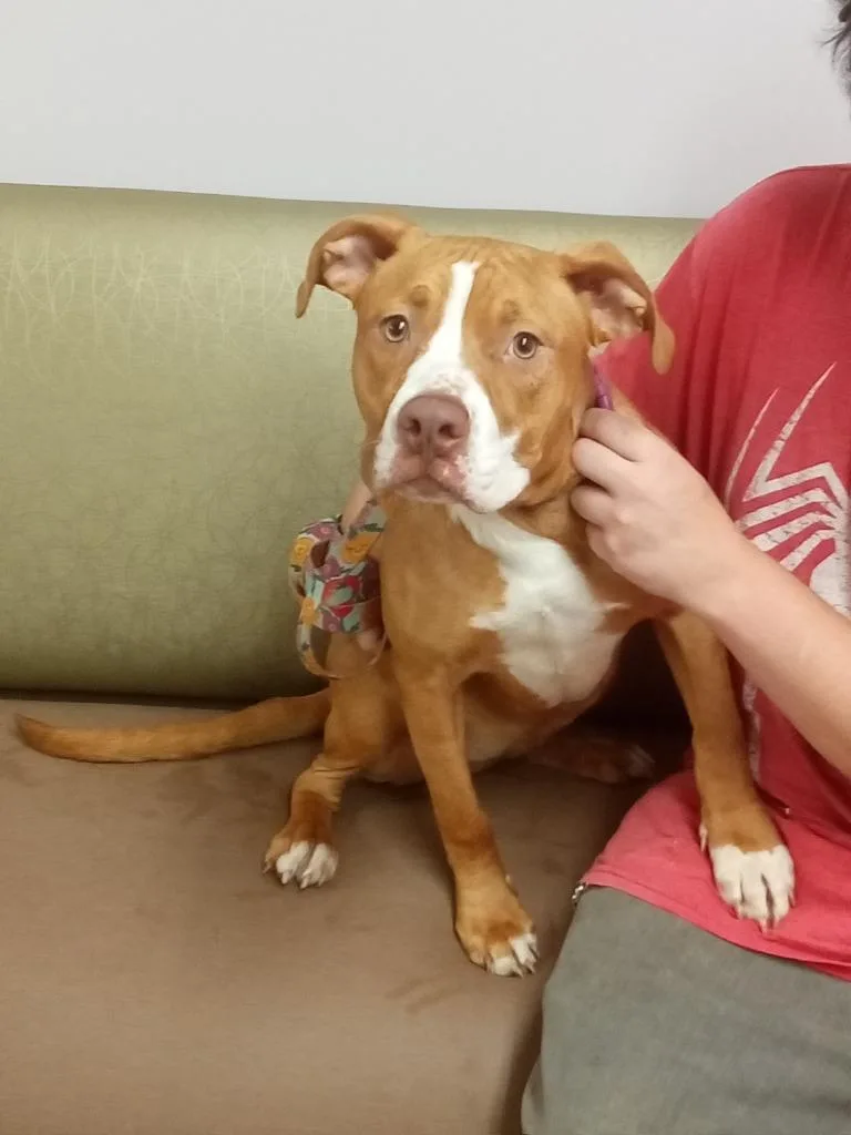 Rosie Girl