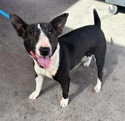 60828513 thumbnail 2