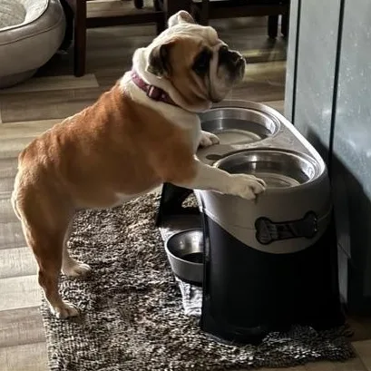 Charley Belle thumbnail 3