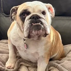 Charley Belle thumbnail 6