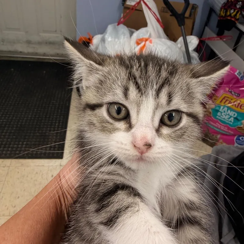 Caitlyn Clark thumbnail 2