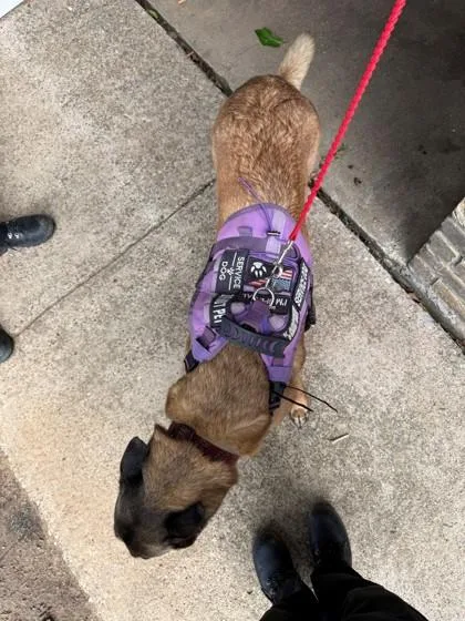 Mya