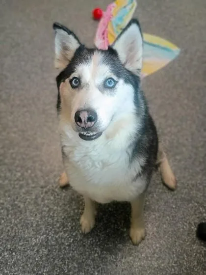 Stormi
