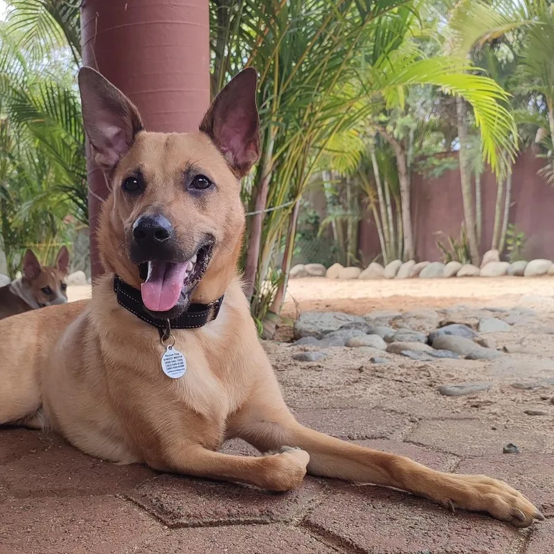 Ken Aka Jack thumbnail 2