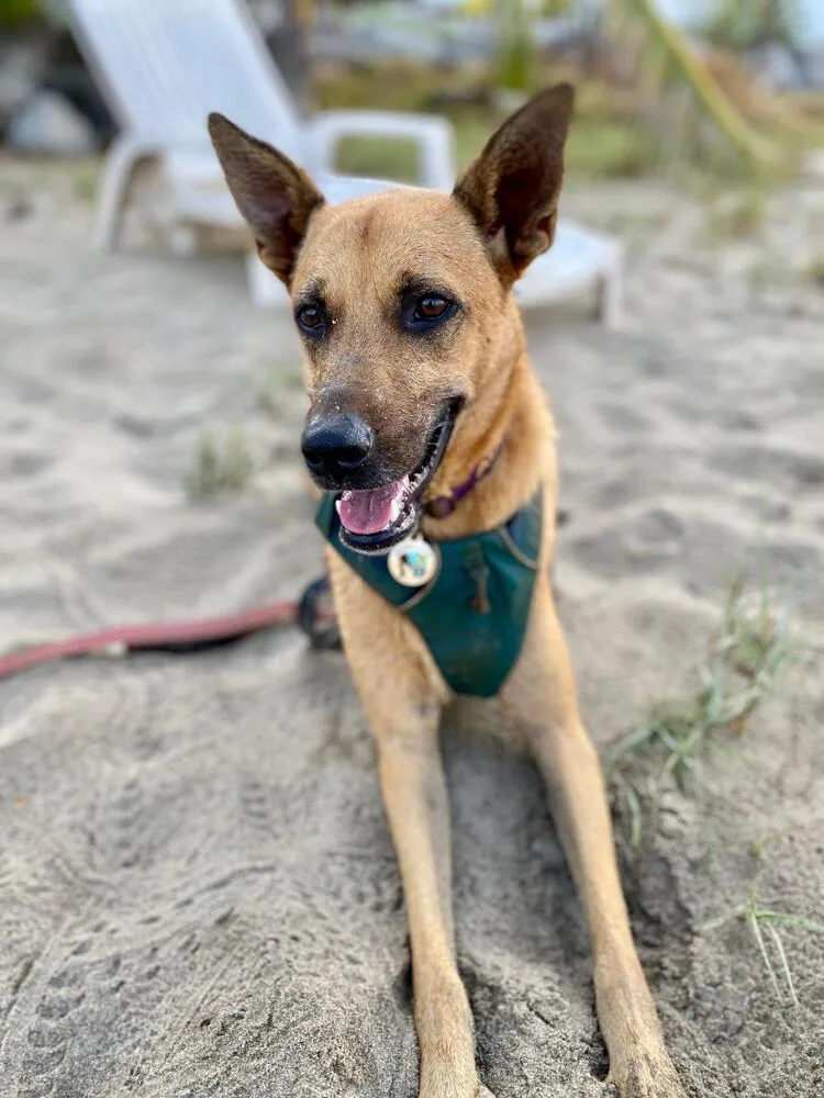 Ken Aka Jack thumbnail 3