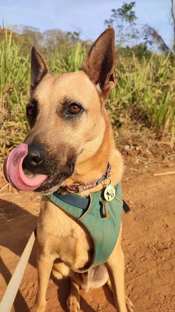 Ken Aka Jack thumbnail 4