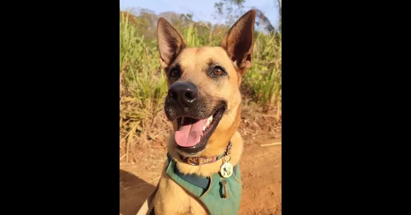 Ken Aka Jack thumbnail 5