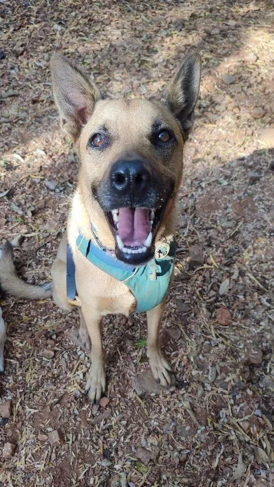 Ken Aka Jack thumbnail 6