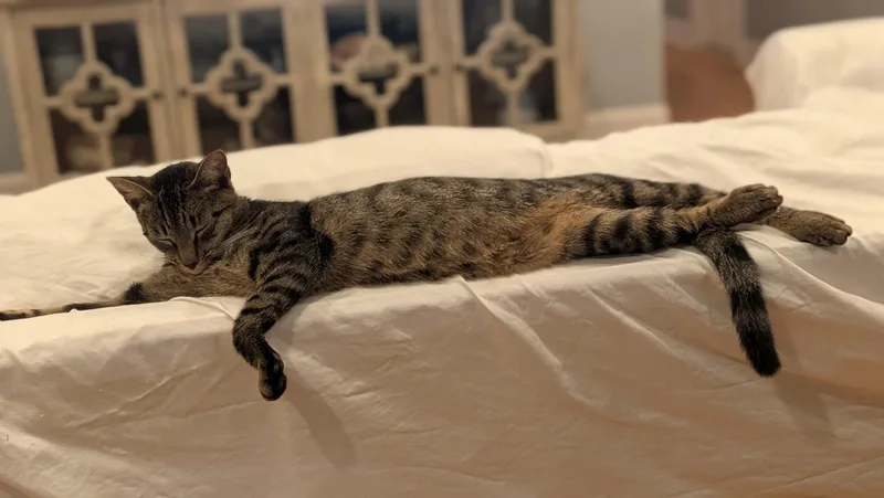 Theo   The thumbnail 2