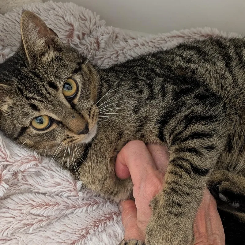 Theo   The thumbnail 3