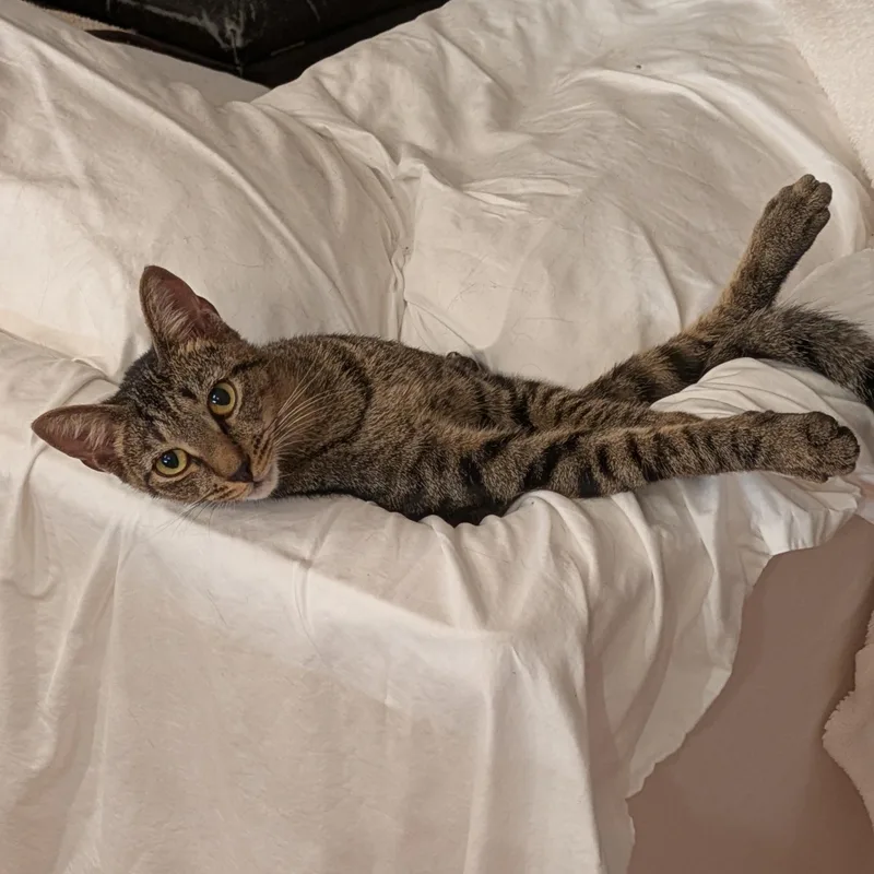 Theo   The thumbnail 5