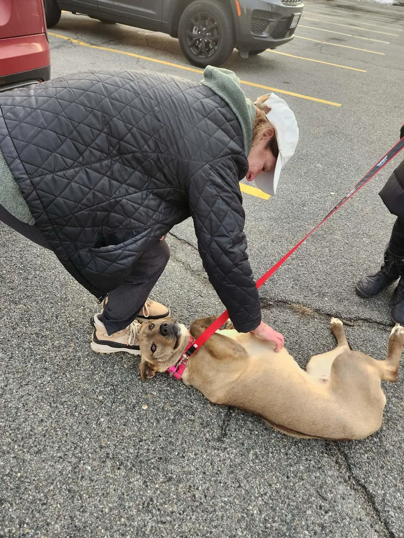 Emma Kate thumbnail 3