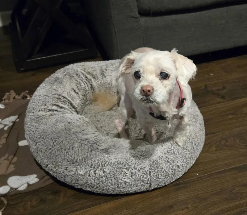 Chloe thumbnail 3