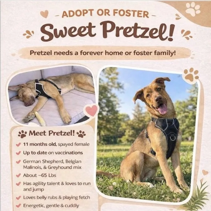 Pretzel thumbnail 6