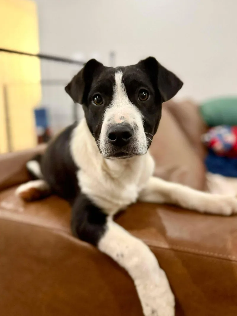 Frank Sinatra thumbnail 2