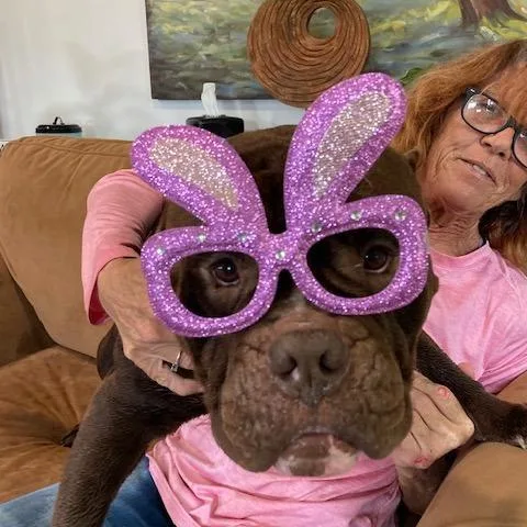 Sir Duggles thumbnail 5