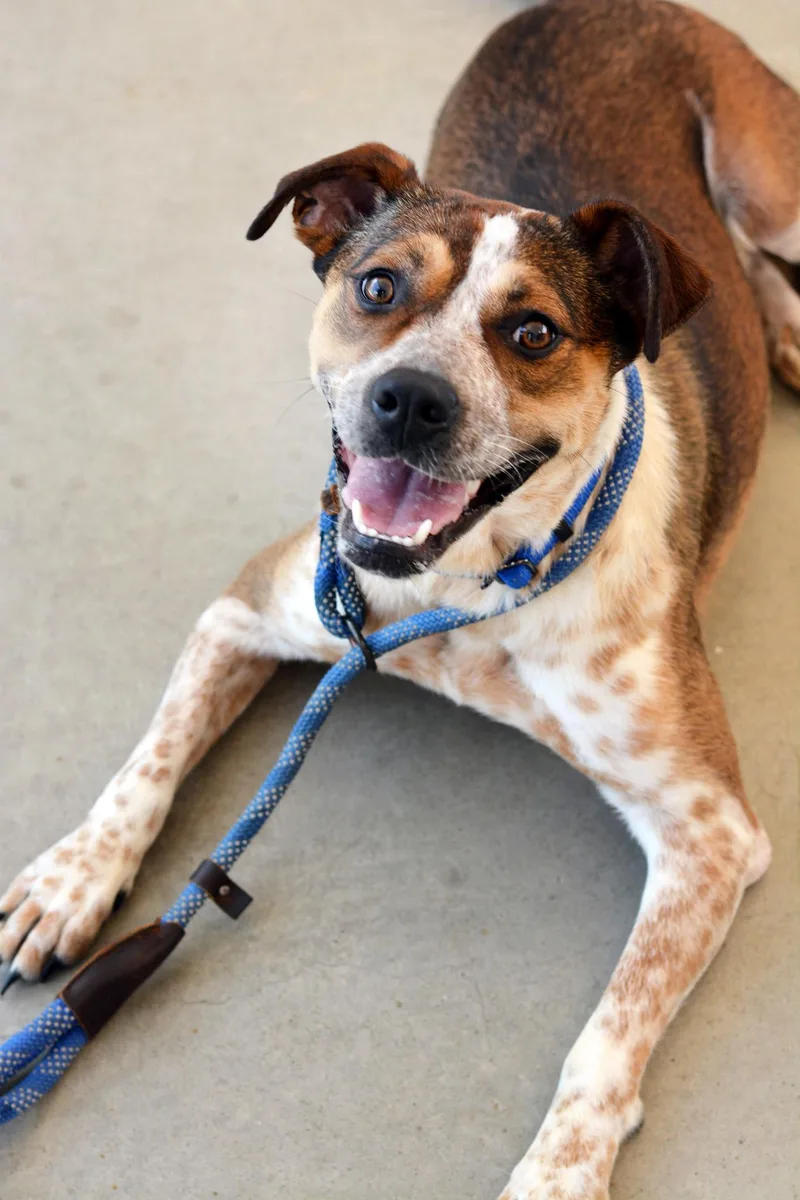 June Bug thumbnail 2