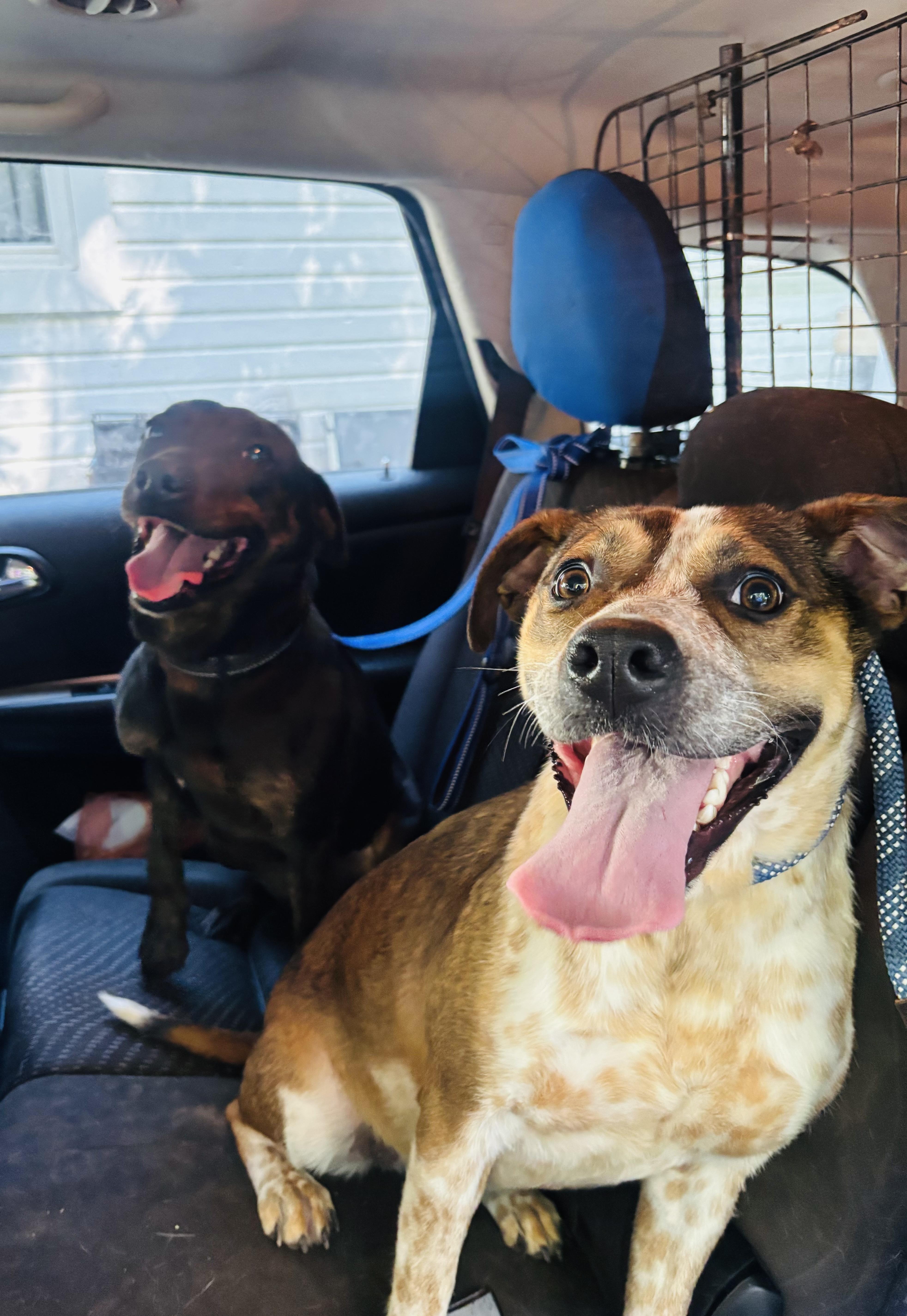 June Bug thumbnail 5