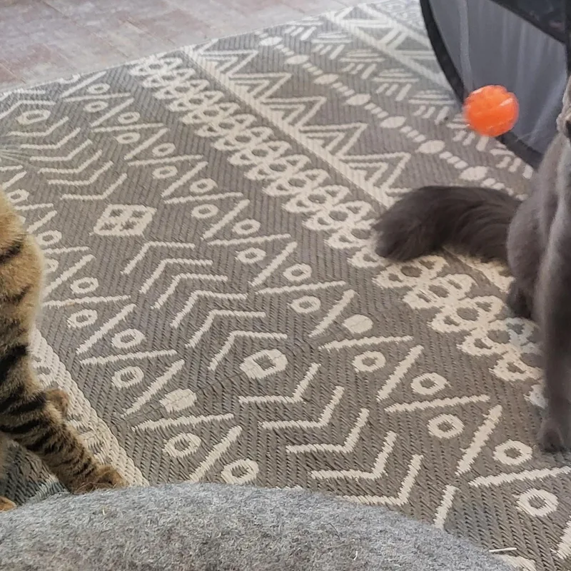 Mirage & Smokey Jo thumbnail 4