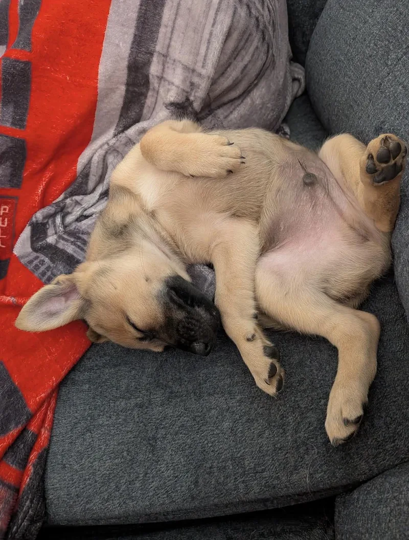 Sam