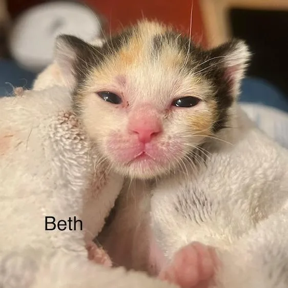Beth thumbnail 2