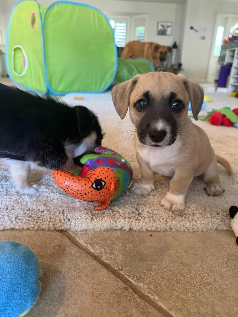 Mionetto thumbnail 2