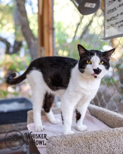 Pinot Grigio thumbnail 3