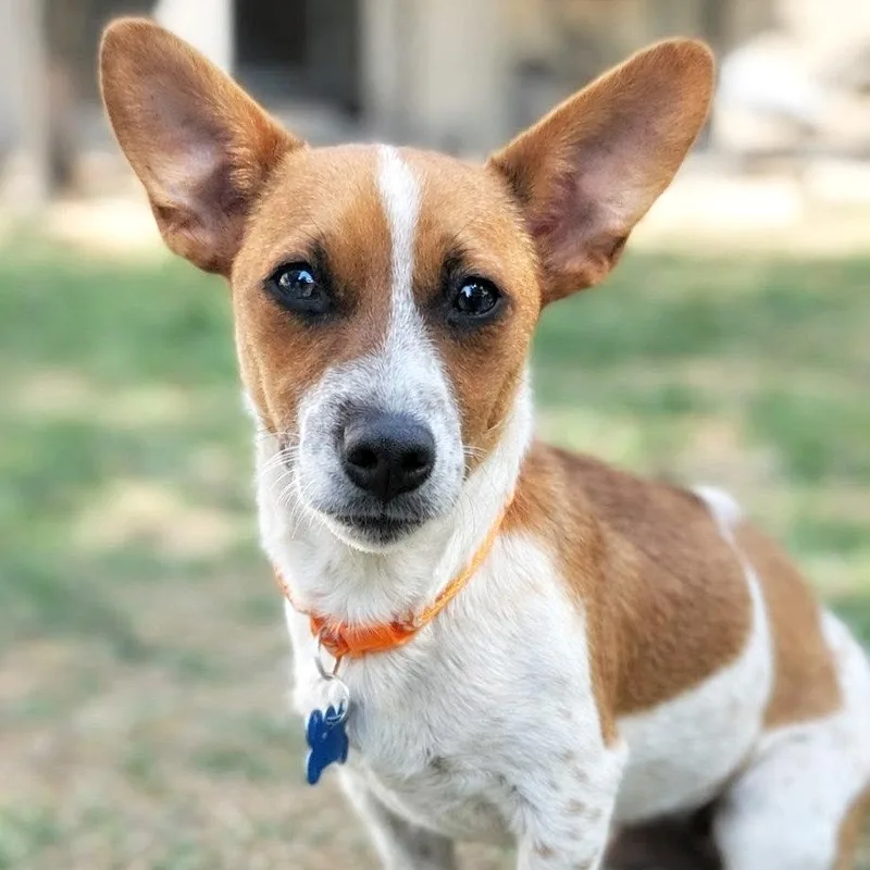 Hercules thumbnail 2