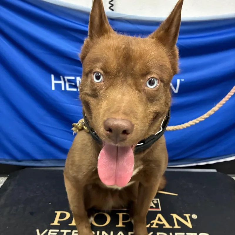 Elphaba Aka Elphie thumbnail 2