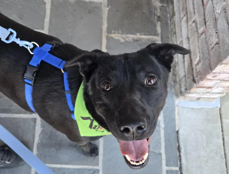 Augustus thumbnail 2