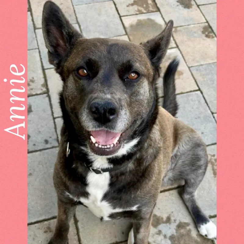 Annie thumbnail 3