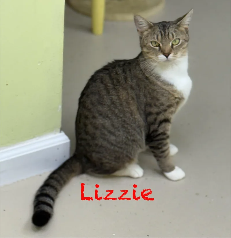 Lizzie