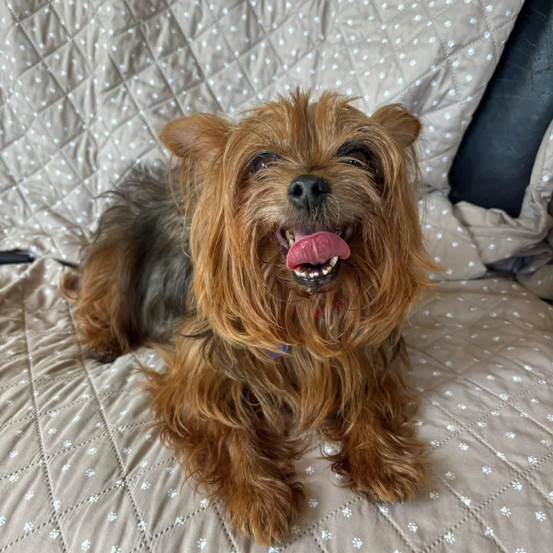 Coco