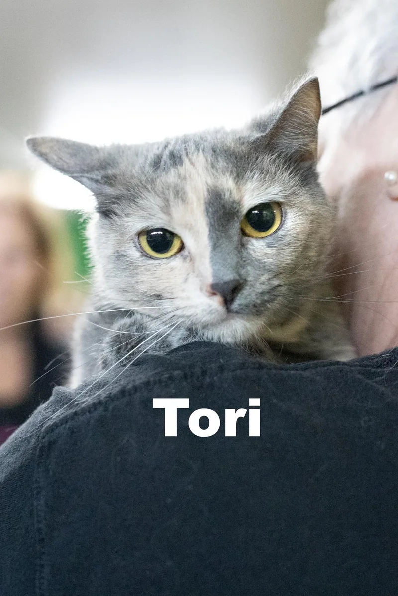 Tori