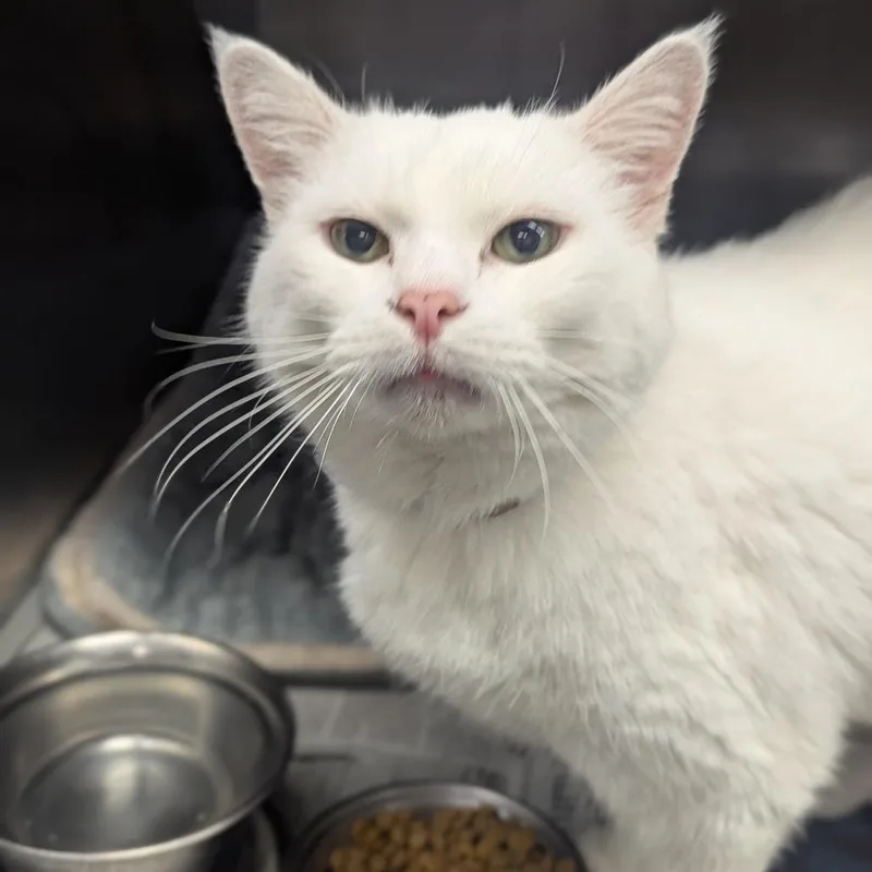 Lily Houston thumbnail 3